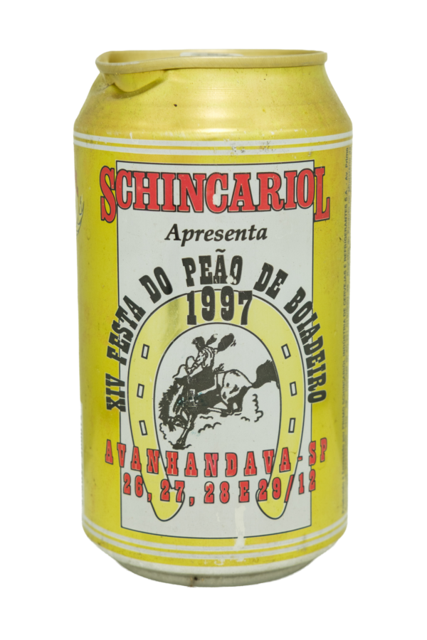 sc020 XIV Festa do peão avanhandava 97