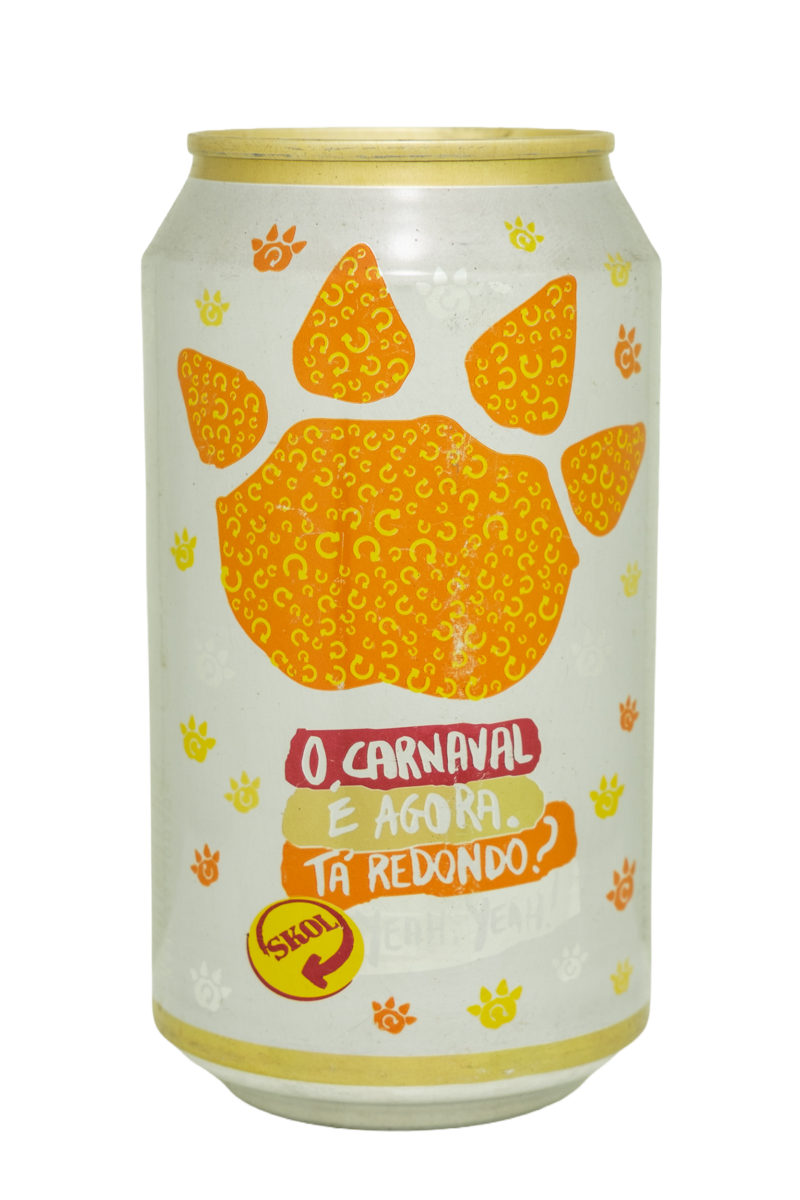 SK118 sk118 camaleao 07