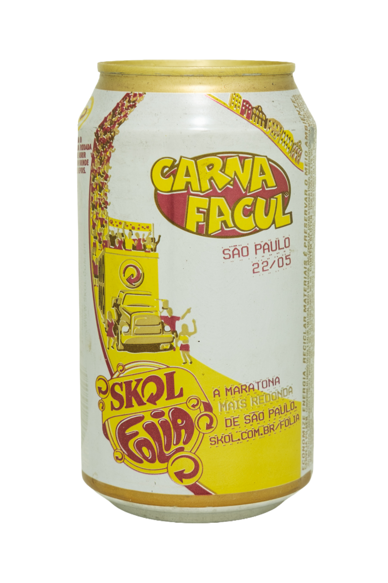 sk217 carnafacul 2010